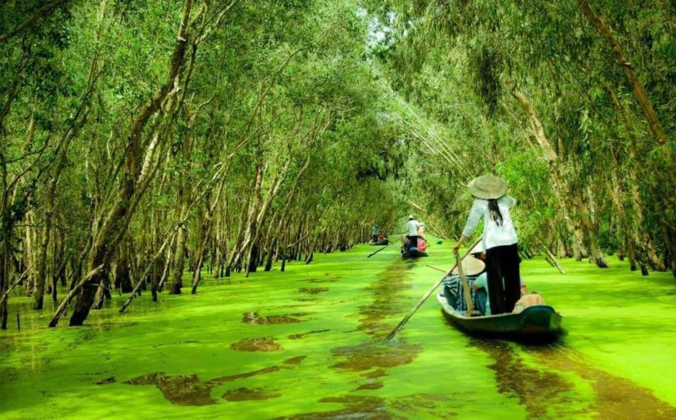 جاهای دیدنی ویتنام دلتا مکونگ